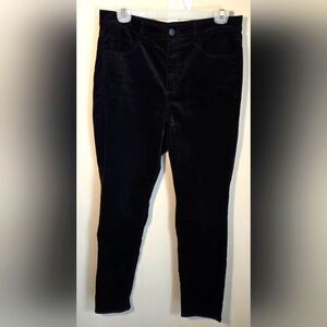 LOFT Womans Velvet Feel Pants Size 10